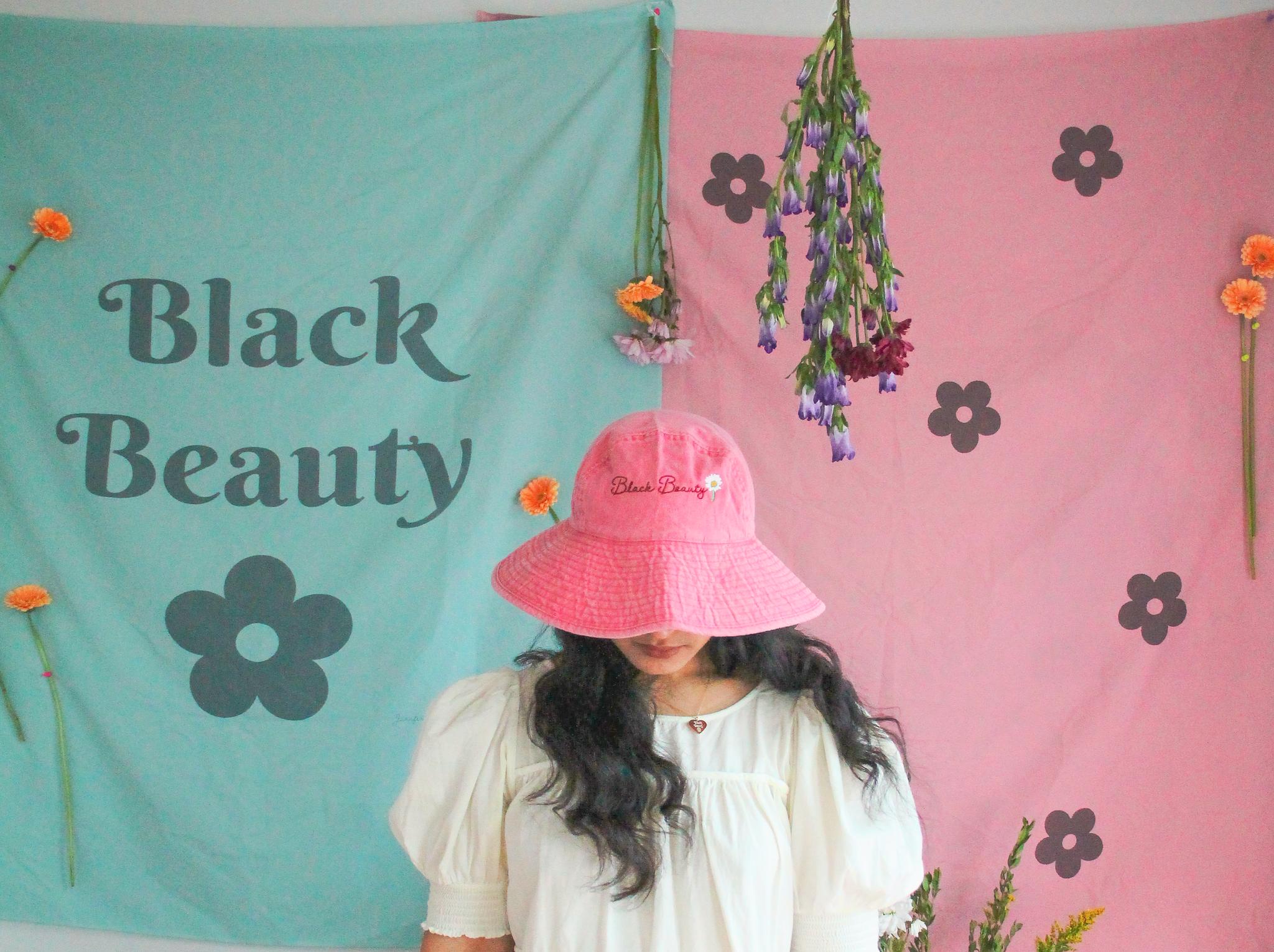 The Black Beauty Collection