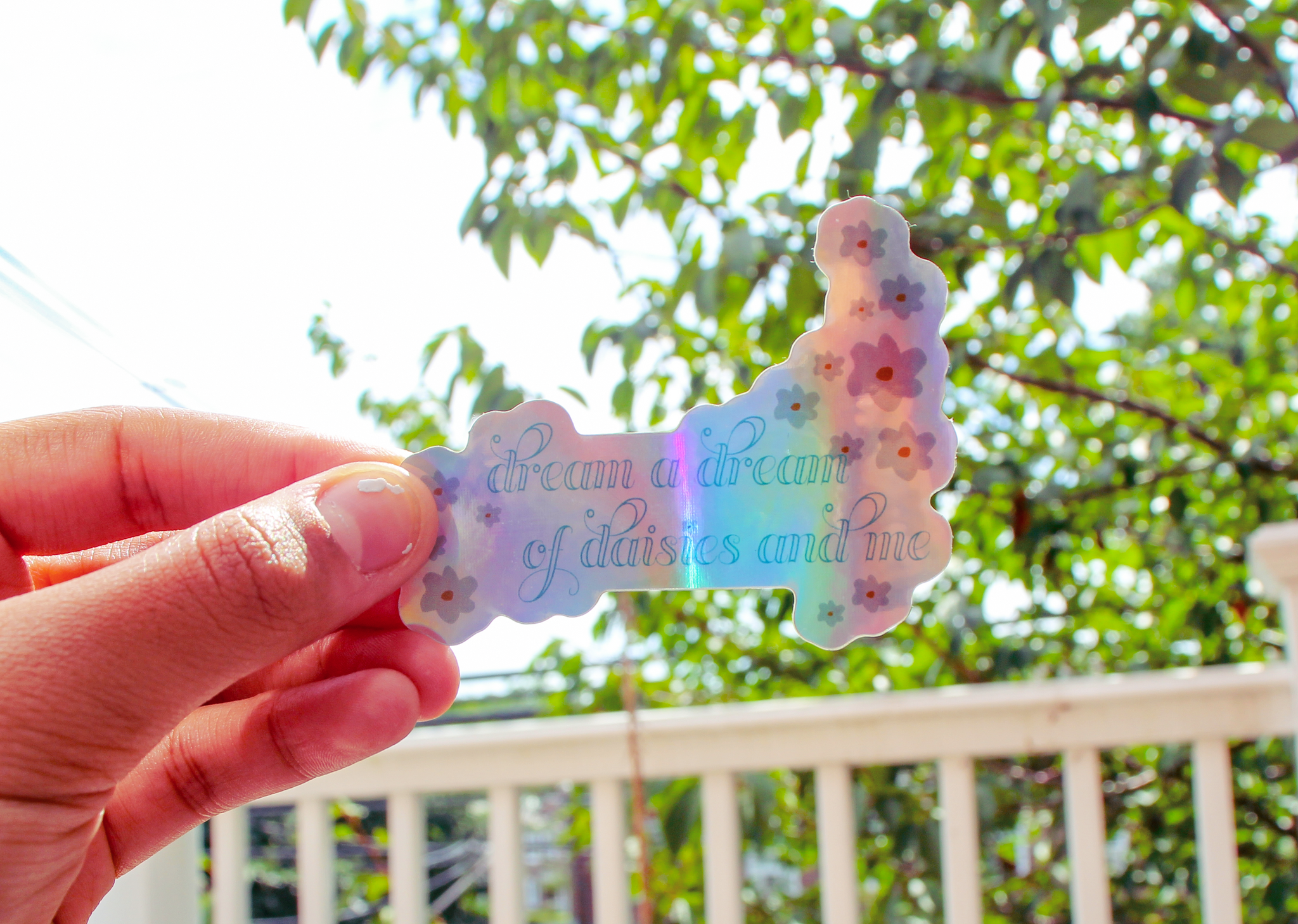 Dream a Dream of Daisies and Me Holographic Text Sticker
