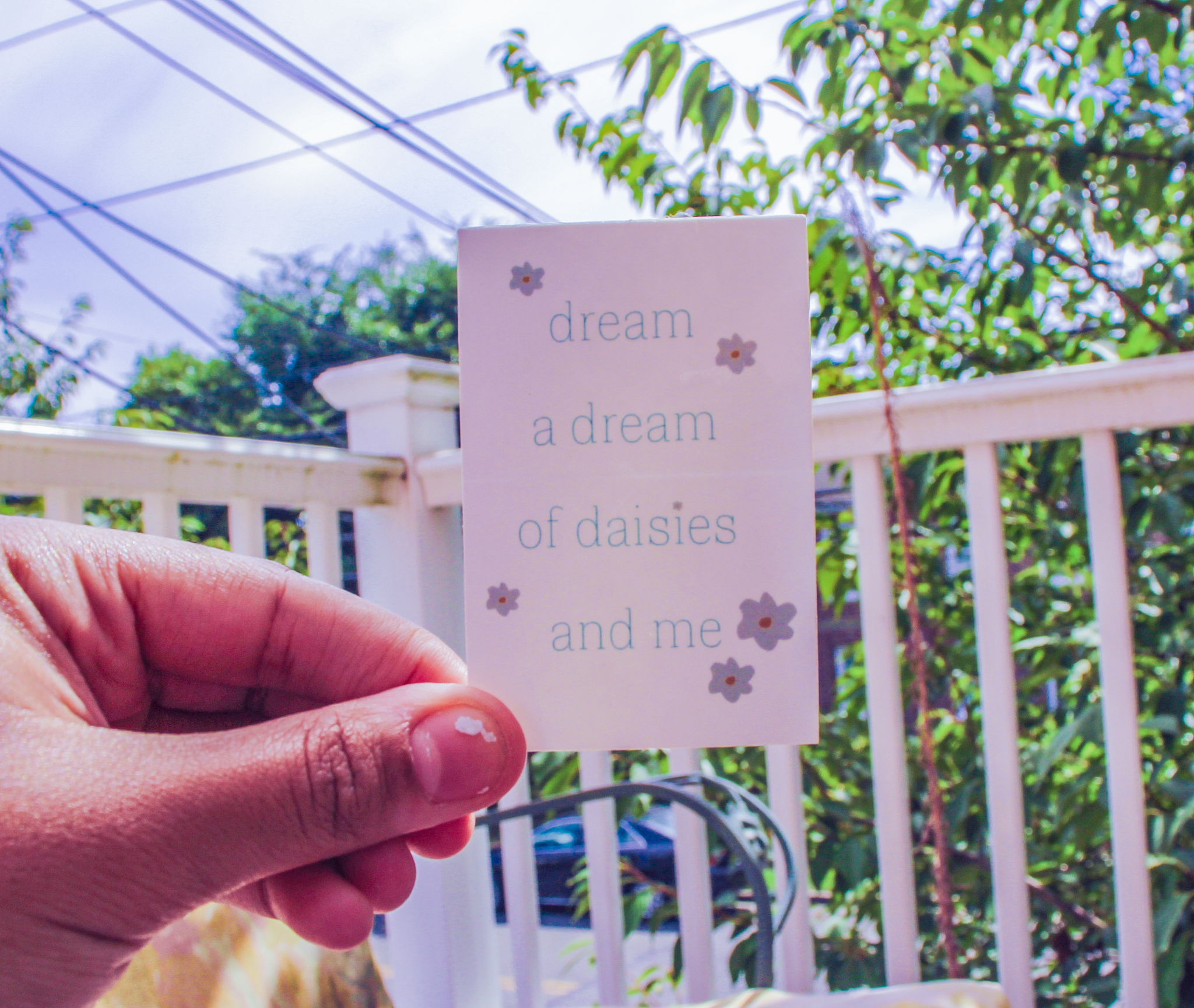 Dream a Dream of Daisies and Me Rectangle Text Sticker
