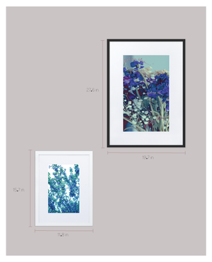 Two framed images of blue flowers, one with white frame and one with black frame